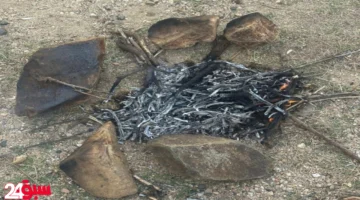 الأمن البيئي يطيح بمواطن خليجي أشعل النيران في أماكن غير مخصصة لها